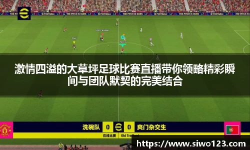 激情四溢的大草坪足球比赛直播带你领略精彩瞬间与团队默契的完美结合