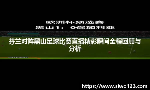 芬兰对阵黑山足球比赛直播精彩瞬间全程回顾与分析