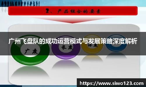 广州飞盘队的成功运营模式与发展策略深度解析